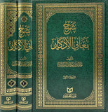 شرح معاني الأذكار مكتبة رواد المعرفة