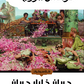 عرائس الموج - جبران خليل جبران